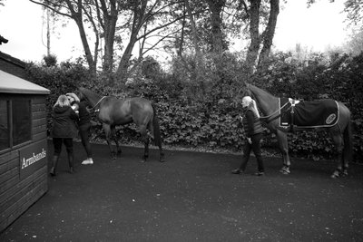 Goodwood Estate West Sussexissa, Iso-Britannia, 2019 (kuva) tekijältä Jon Nicholson