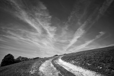 Goodwood Estate West Sussexissa, Iso-Britannia, 2019 (kuva) tekijältä Jon Nicholson