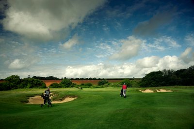 Goodwood Estate West Sussexissa, Iso-Britannia, 2019 (kuva) tekijältä Jon Nicholson