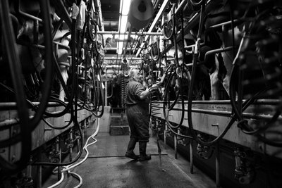 Goodwood Estate West Sussexissa, Iso-Britannia, 2019 (kuva) tekijältä Jon Nicholson