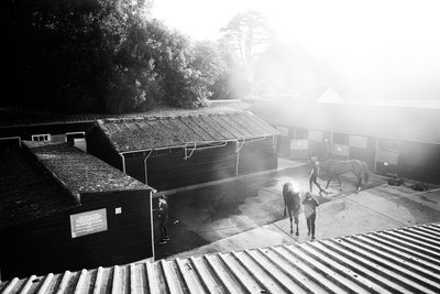 Goodwood Estate West Sussexissa, Iso-Britannia, 2019 (kuva) tekijältä Jon Nicholson