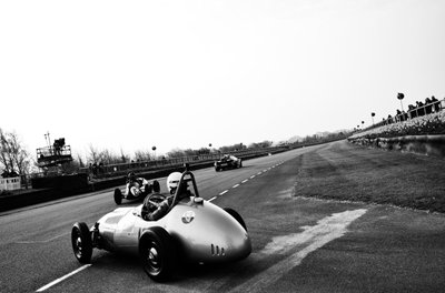 Goodwood Estate West Sussexissa, Iso-Britannia, 2019 (kuva) tekijältä Jon Nicholson