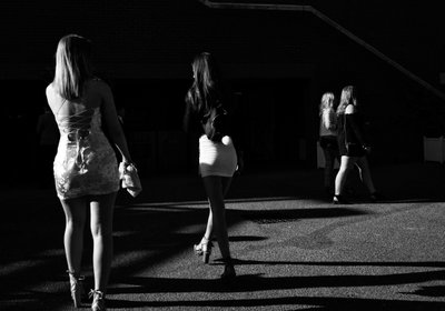 Goodwood Estate West Sussexissa, Iso-Britannia, 2019 (kuva) tekijältä Jon Nicholson