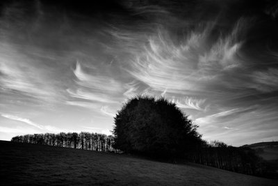 Goodwood Estate West Sussexissa, Iso-Britannia, 2019 (kuva) tekijältä Jon Nicholson