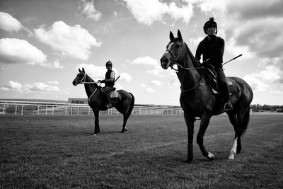 Goodwood Estate West Sussexissa, Iso-Britannia, 2019 (kuva) tekijältä Jon Nicholson