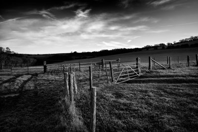 Goodwood Estate West Sussexissa, Iso-Britannia, 2019 (kuva) tekijältä Jon Nicholson