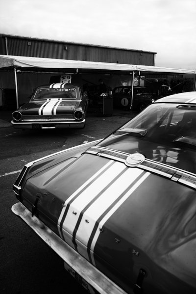 Goodwood Estate West Sussexissa, Iso-Britannia, 2020 (kuva) tekijältä Jon Nicholson