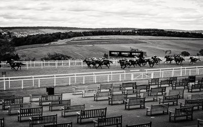 Goodwood Estate West Sussexissa, Iso-Britannia, 2020 (kuva) tekijältä Jon Nicholson