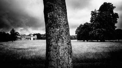 Goodwood Estate West Sussexissa, Iso-Britannia, 2020 (kuva) tekijältä Jon Nicholson