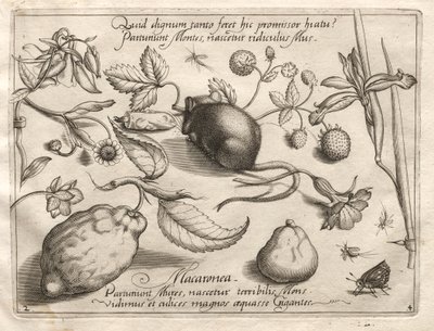 Arkkityypit ja tutkimukset: Mitä voi ilmetä tällaisen luolallisen lupauksen mukaisesti, 1592. tekijältä Joris Hoefnagel
