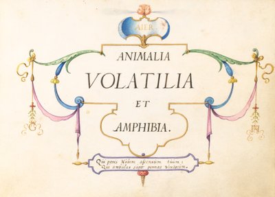 Nimilehti tekijältä Joris Hoefnagel