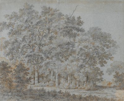 Metsä ja ratsastaja tekijältä Joris van der Hagen