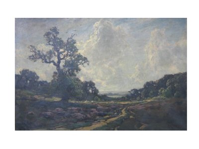 Tie yhteisen yli tekijältä Jose Weiss