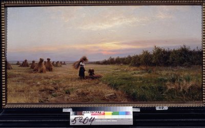 Sadonkorjuu illan valossa. (Sadonkorjuu illan valossa). Kaksi naista työskentelemässä pellolla, joka on täynnä heinäsuovoja. Iosiph Evstafievich Krachkovsky (1854-1914) maalaus öljy kankaalle tekijältä Josef Evstafievich Krachkovsky