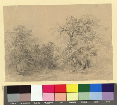 Metsämaisema tekijältä Josef Kriehuber