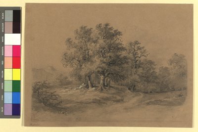 Metsämaisema tekijältä Josef Kriehuber