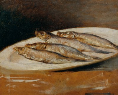 anjovis tekijältä Josef Navrátil