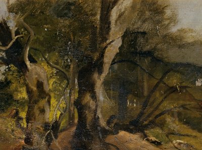 Waldstudie tekijältä Josef Navrátil