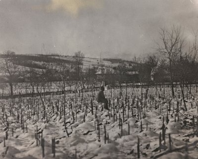 Albumi "Oma maailmansota - muistoja Lounaisrintamasta Kärntenissä, Italiassa, Trentino-Alto Adigessa) 31.3.1915-12.11.1918 - Josef Zohles Wien": sotilaallinen hautausmaa (b/w kuva tekijältä Josef Zohles