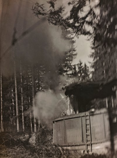 Albumi "Oma maailmansota - muistoja Lounaisrintamasta Kärntenissä, Italiassa, Trentino-Alto Adige" 31.3.1915-12.11.1918 - Josef Zohles Wien ": kranaatinheitin Morser toiminnassa ( tekijältä Josef Zohles