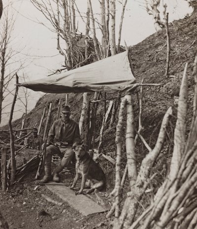 Albumi "Oma maailmansota - muistoja Lounaisrintamasta Kärntenissä, Italiassa, Trentino-Alto Adigessa) 31.03.1915-12.11.1918 - Josef Zohles Wien": sotilaskoira teltan alla ( tekijältä Josef Zohles