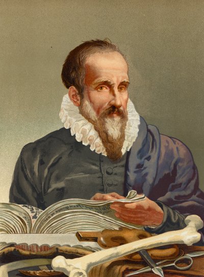 Ambroise Pare tekijältä Josep or Jose Planella Coromina