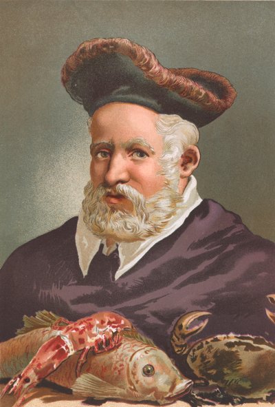 Guillaume Rondelet tekijältä Josep or Jose Planella Coromina