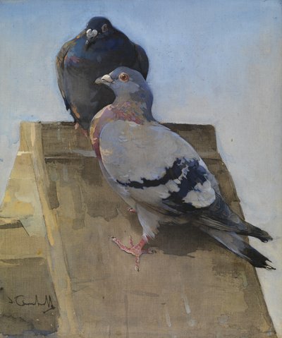 Kyyhkyset katolla (guassi pellavalle) tekijältä Joseph Crawhall