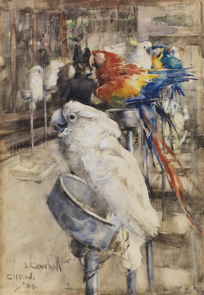 Lintutarha, Clifton tekijältä Joseph Crawhall