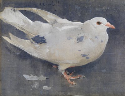 Kyyhkynen (guassi pellavalle) tekijältä Joseph Crawhall