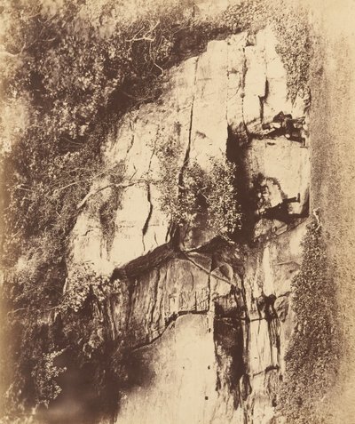 Fountains Abbey. Kaikukivi, 1850-luku. tekijältä Joseph Cundall