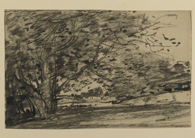 Study of Trees, 1870 (grafiitti paperille) tekijältä Joseph Frank Currier