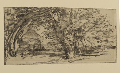 Study of Trees, 1870 (grafiitti paperille) tekijältä Joseph Frank Currier