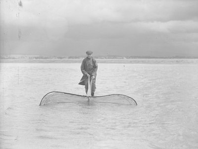 Kalastaja käyttää suurta verkkoa matalassa vedessä. tekijältä Joseph Hardman