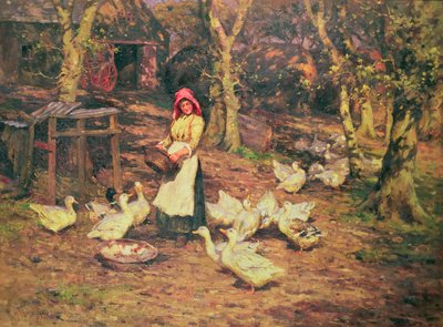 Ankkojen ruokinta tekijältä Joseph Harold Swanwick