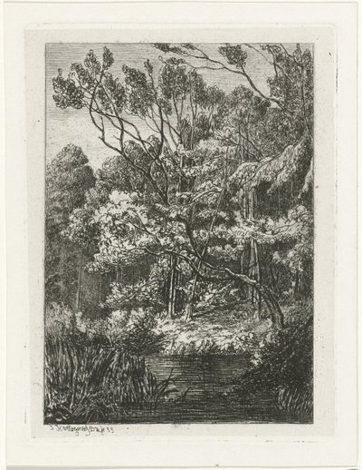 metsänäkymä tekijältä Joseph Hartogensis