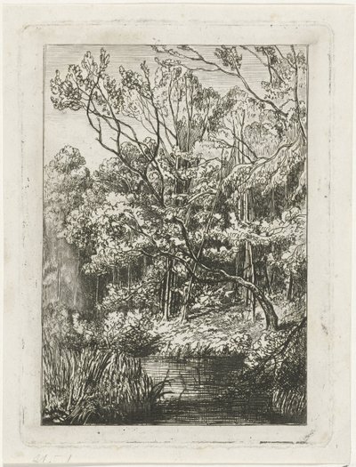 metsänäkymä tekijältä Joseph Hartogensis