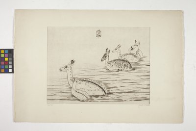 CERFS Indochinois I (veado Indochinese I) (gravação em papel de creme) finlandês tekijältä Joseph Hecht