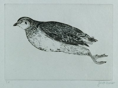 Dead Partridge (La Perdrix) (kaiverrus) tekijältä Joseph Hecht