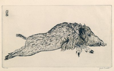 Villisika (Le Sanglier) (kaiverrus) tekijältä Joseph Hecht