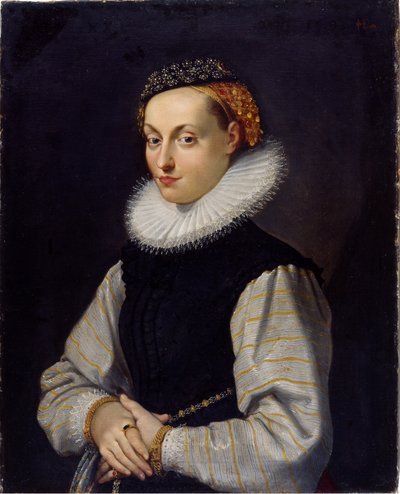 Veronika Fuggerin muotokuva Veronika Fuggerin muotokuva tekijältä Joseph Heintz the Elder