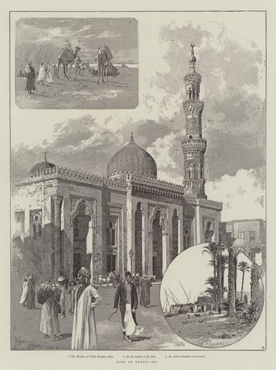 Elämä Egyptissä tekijältä Joseph Holland Tringham