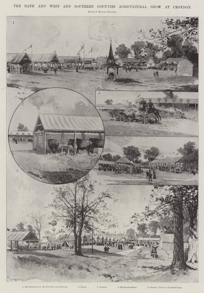 Bath ja West and Southern Countyn maatalousnäyttely Croydonissa tekijältä Joseph Holland Tringham