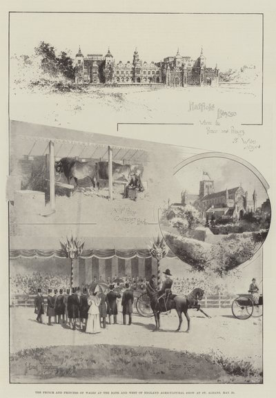 Walesin prinssi ja prinsessa Bathin ja Länsi-Englannin maatalousnäyttelyssä St Albansissa, 29. toukokuuta tekijältä Joseph Holland Tringham