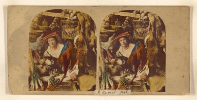 Kiva ankka, sir tekijältä Joseph John Elliott