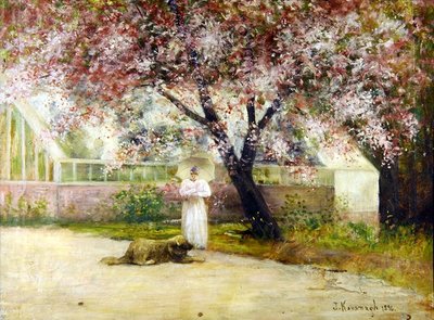 Blossom tekijältä Joseph Malachy Kavanagh