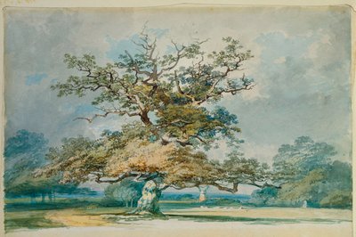 Maisema, jossa on vanha tammi tekijältä Joseph Mallord William Turner