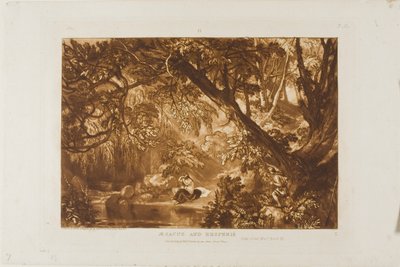 Aesacus ja Hesperia, levy 66 Book of Studiesista tekijältä Joseph Mallord William Turner