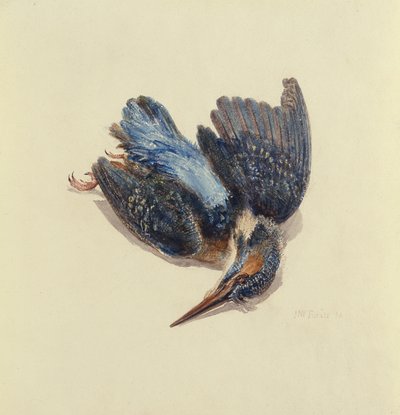 Kingfisher, Farnley Book of Birds, n. 1816 (kynä ja muste ja akvarelli paperille) tekijältä Joseph Mallord William Turner