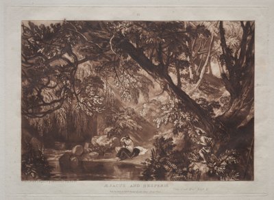 Tutkimuskirja: Aesacus ja Hesperia tekijältä Joseph Mallord William Turner